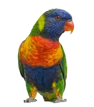Las Aves